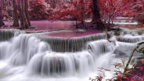 秋天,瀑布,河流,紫色,树叶,6K风景壁纸 6000x4000