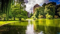 波士顿的马萨诸塞州,美国公园,树,池塘,4K风景壁纸 3840x2160